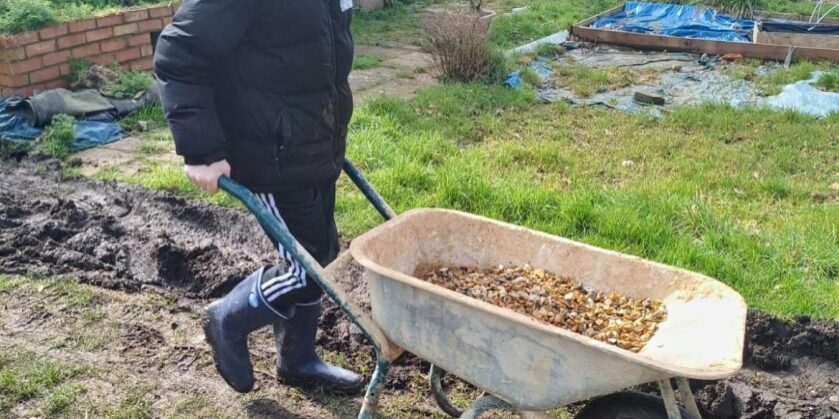 allotment pic cropped